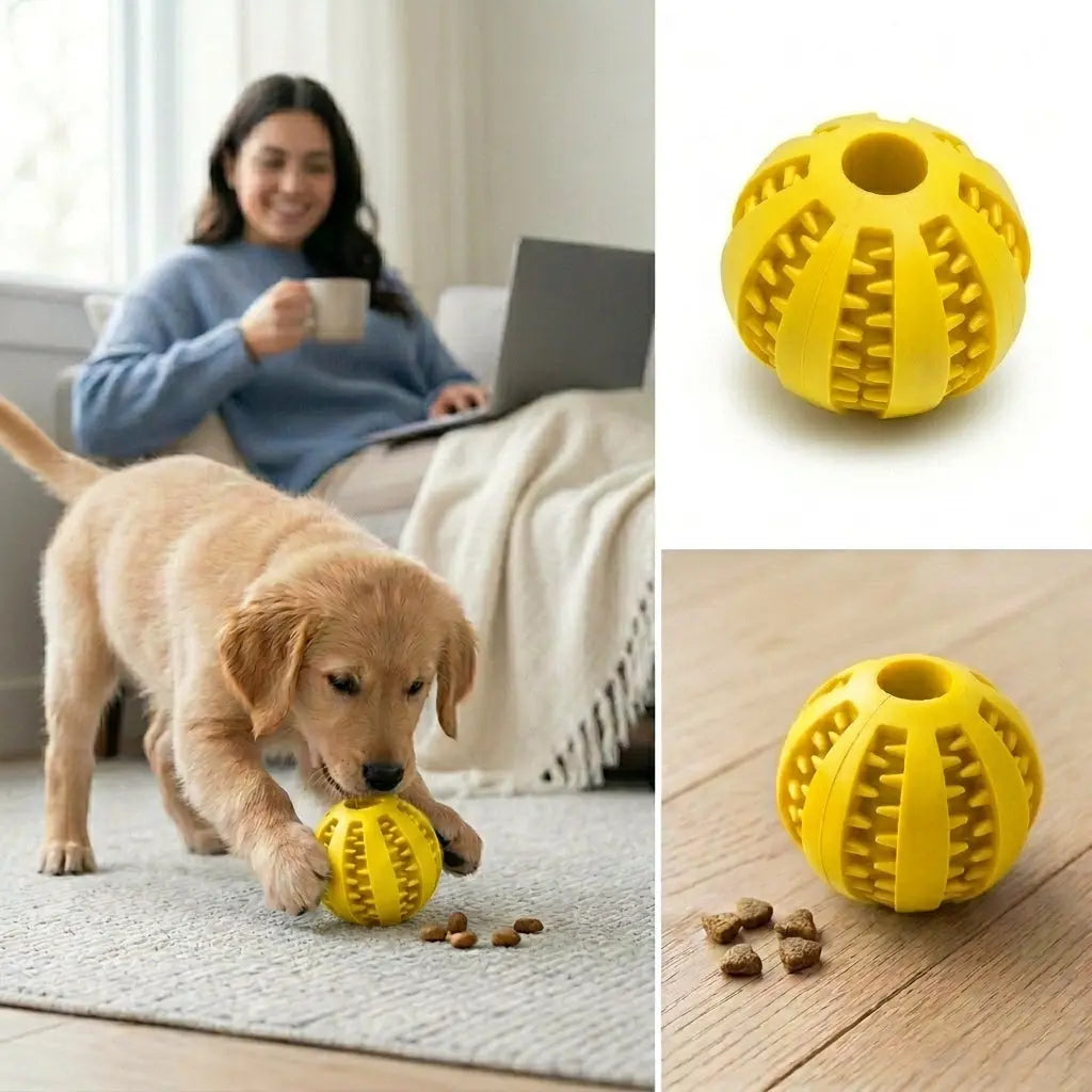 Interactive Treat-Dispensing Dog Toy for Teething, Sunny Sniff