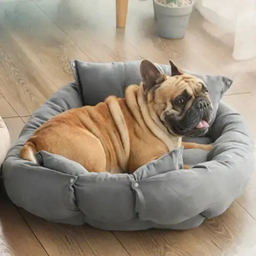 3-in-1 Cozy Comfort Dog Bed Mat for Restful Sleep - 3 Colors