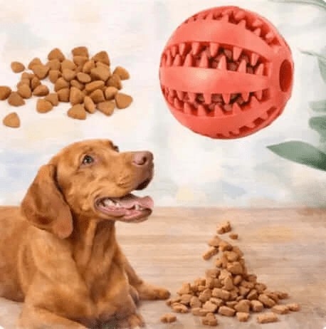 Interactive Treat - Dispensing Dog Toy for Teething - The Dog Mom Collective