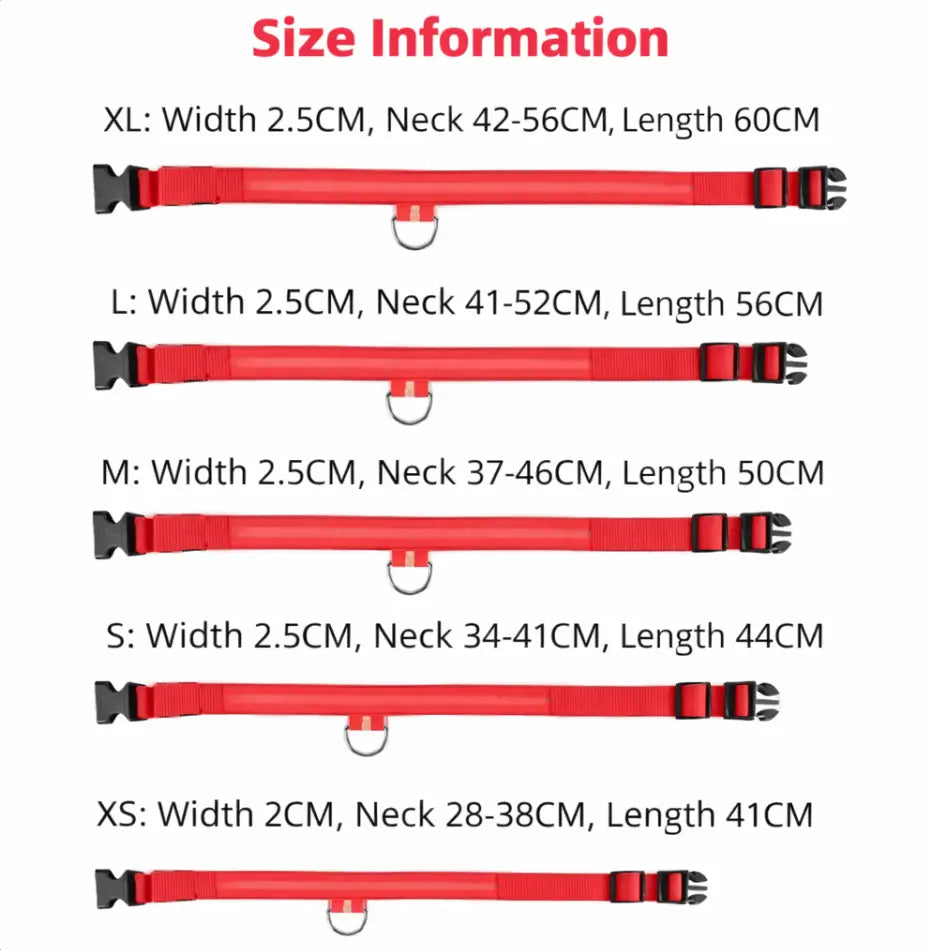 LED Light Up Safety Dog Collar - The Dog Mom Collective