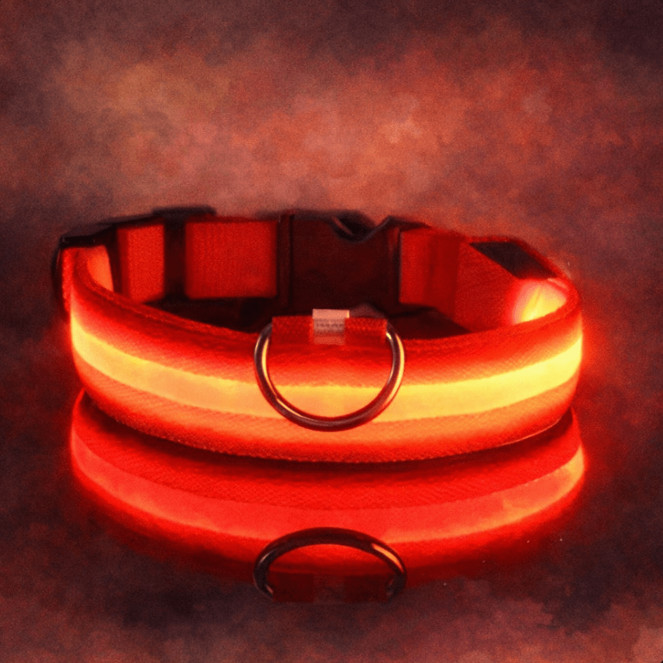 LED Light Up Safety Dog Collar - The Dog Mom Collective