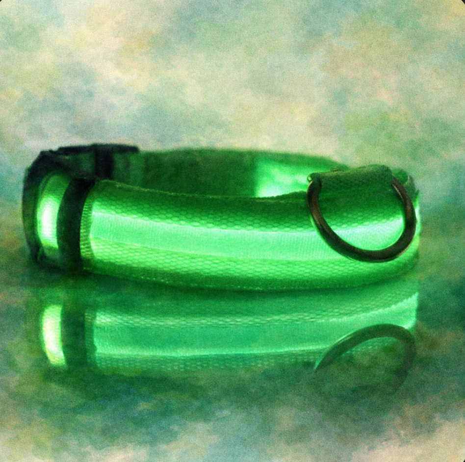 LED Light Up Safety Dog Collar - The Dog Mom Collective