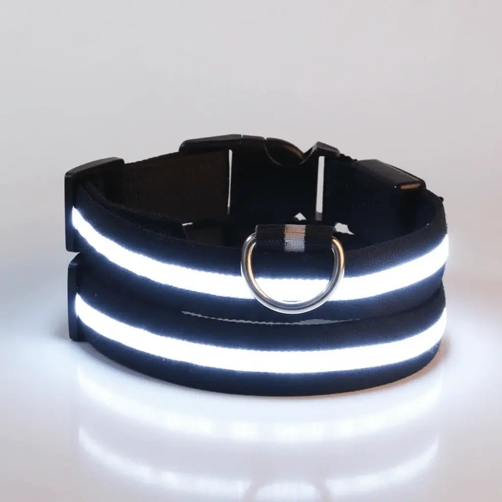 LED Light Up Safety Dog Collar - The Dog Mom Collective