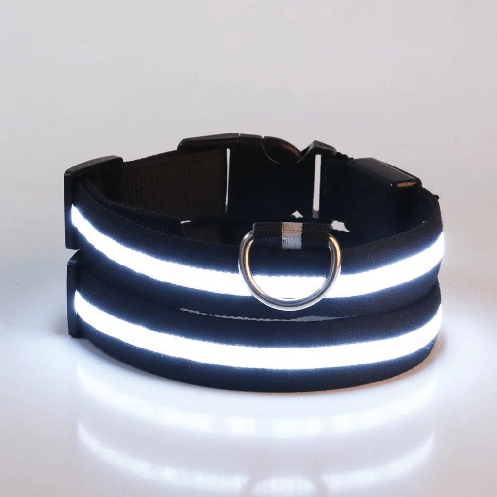 LED Light Up Safety Dog Collar - The Dog Mom Collective