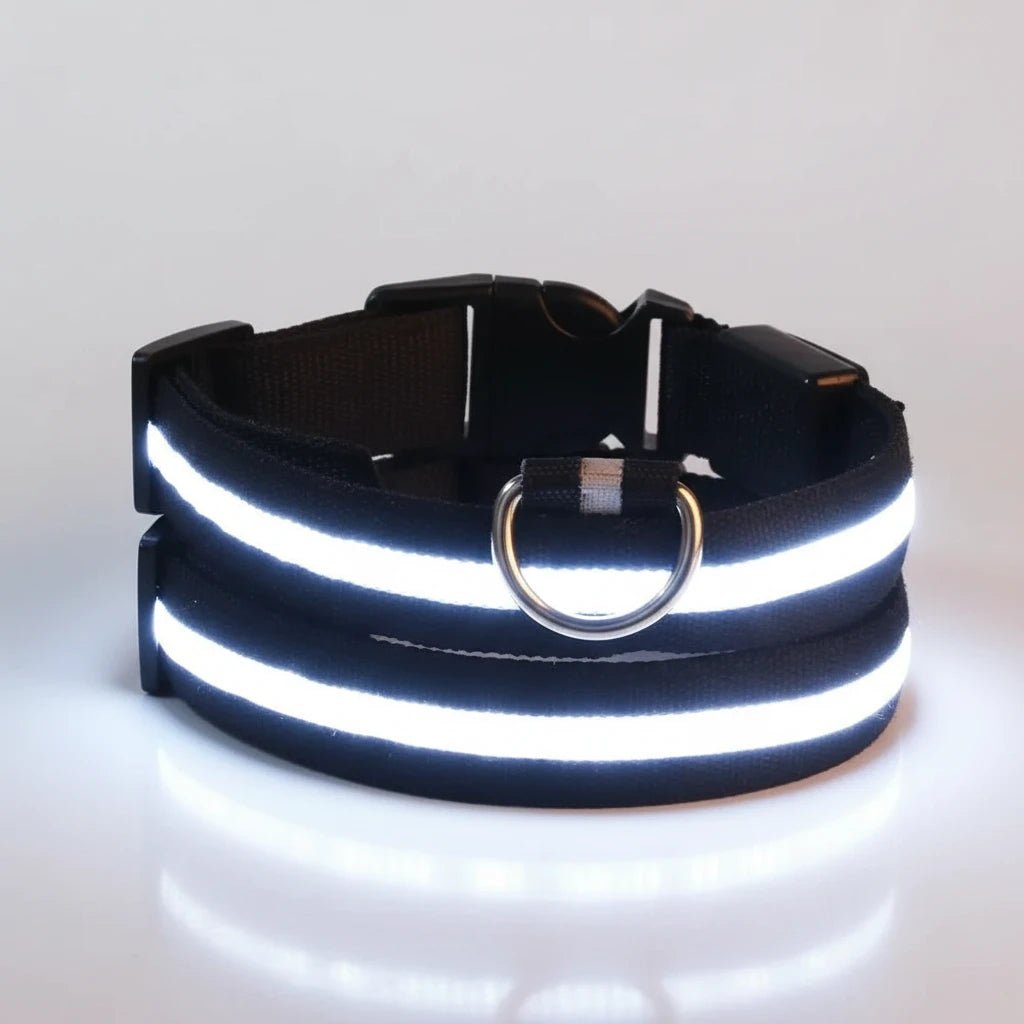 LED Light Up Safety Dog Collar - The Dog Mom Collective