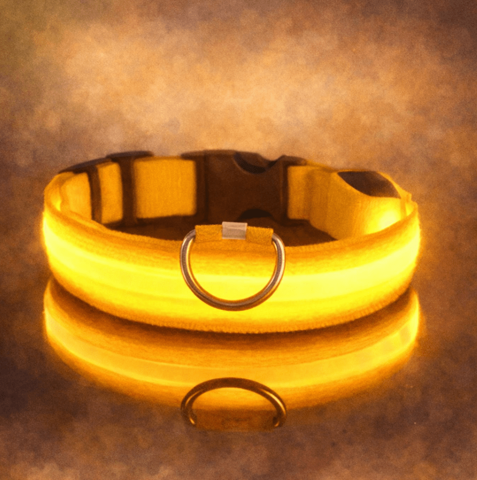LED Light Up Safety Dog Collar - The Dog Mom Collective