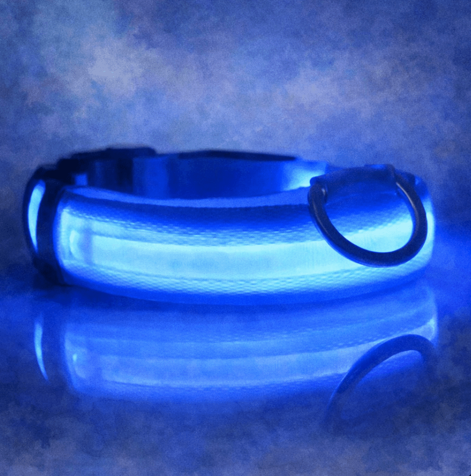 LED Light Up Safety Dog Collar - The Dog Mom Collective