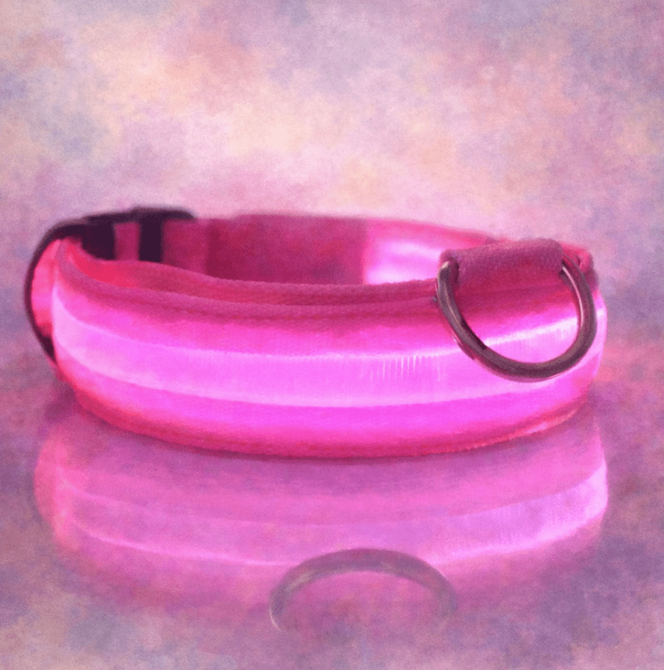 LED Light Up Safety Dog Collar - The Dog Mom Collective