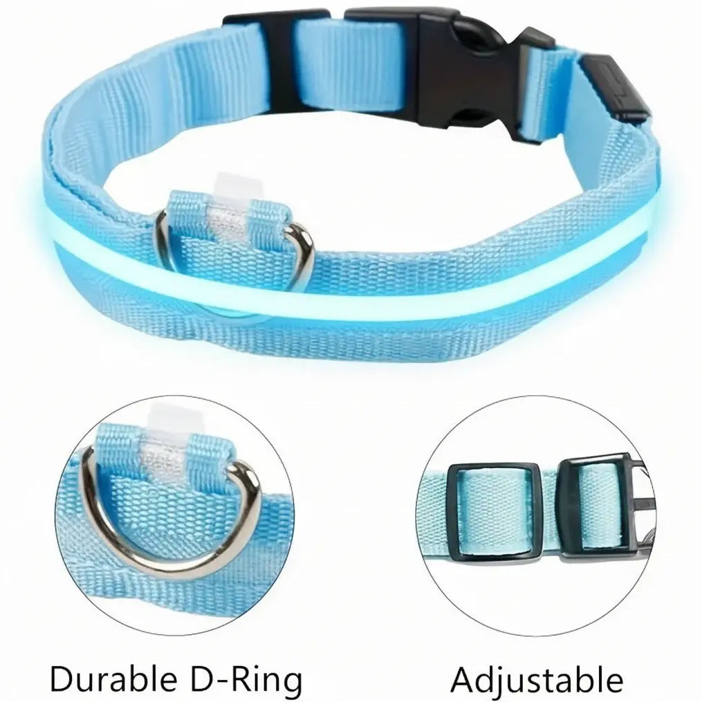LED Light Up Safety Dog Collar, Multi The Dog Mom Collective