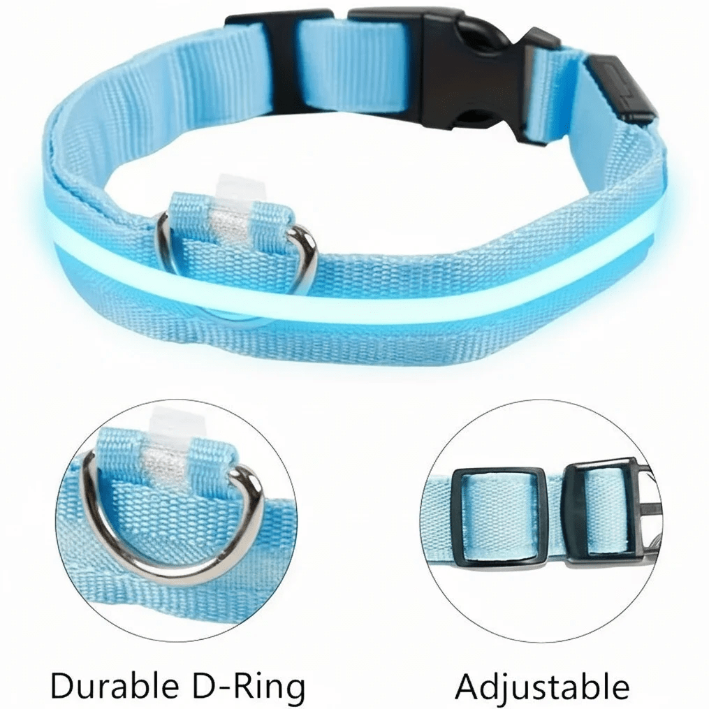 LED Light Up Safety Dog Collar - The Dog Mom Collective