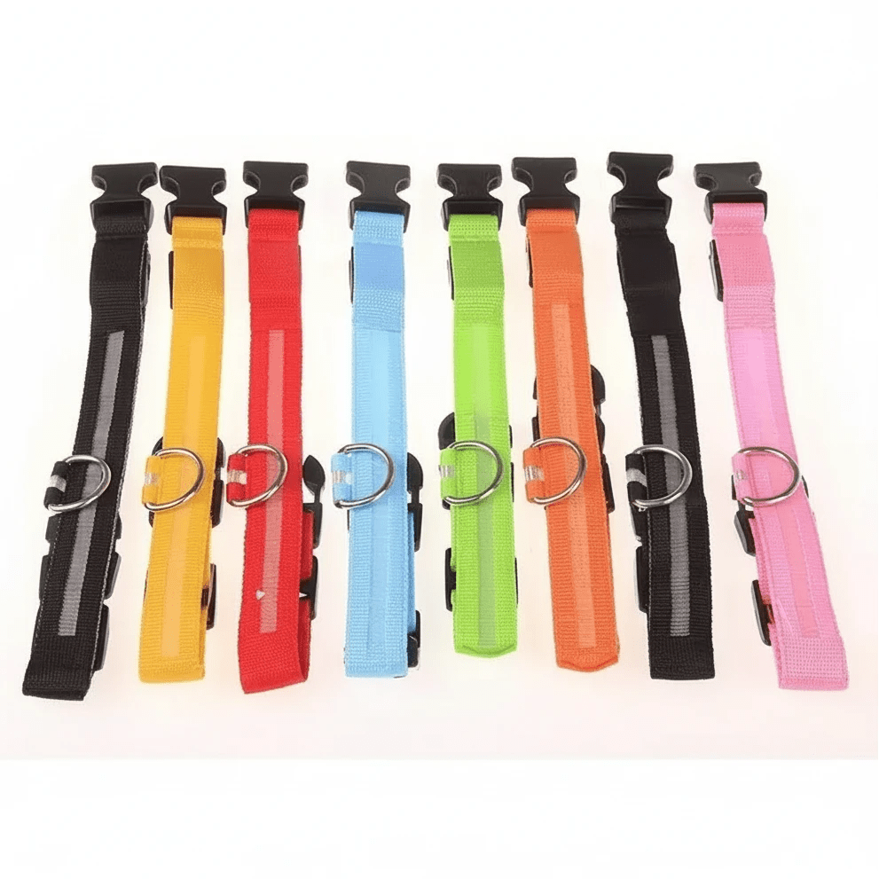 LED Light Up Safety Dog Collar - The Dog Mom Collective