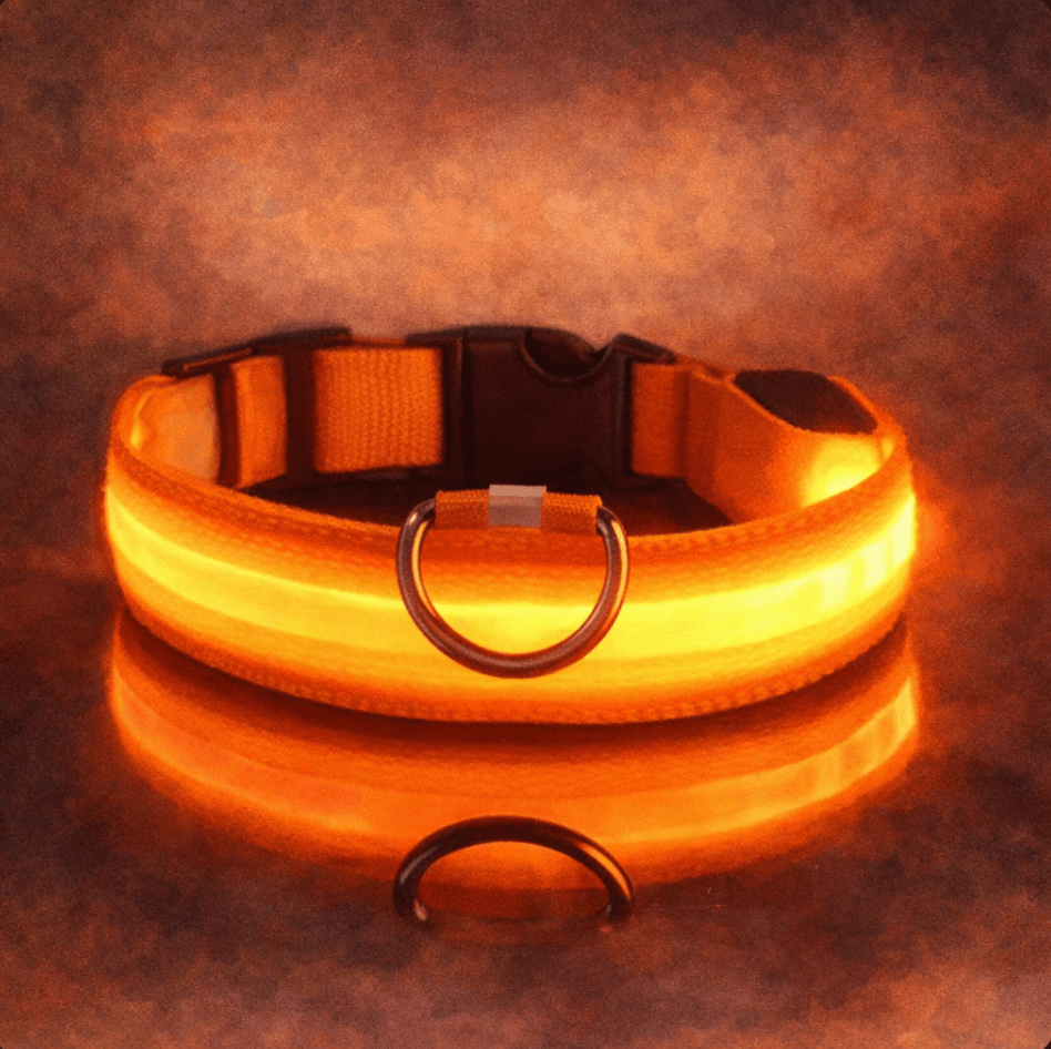 LED Light Up Safety Dog Collar - The Dog Mom Collective
