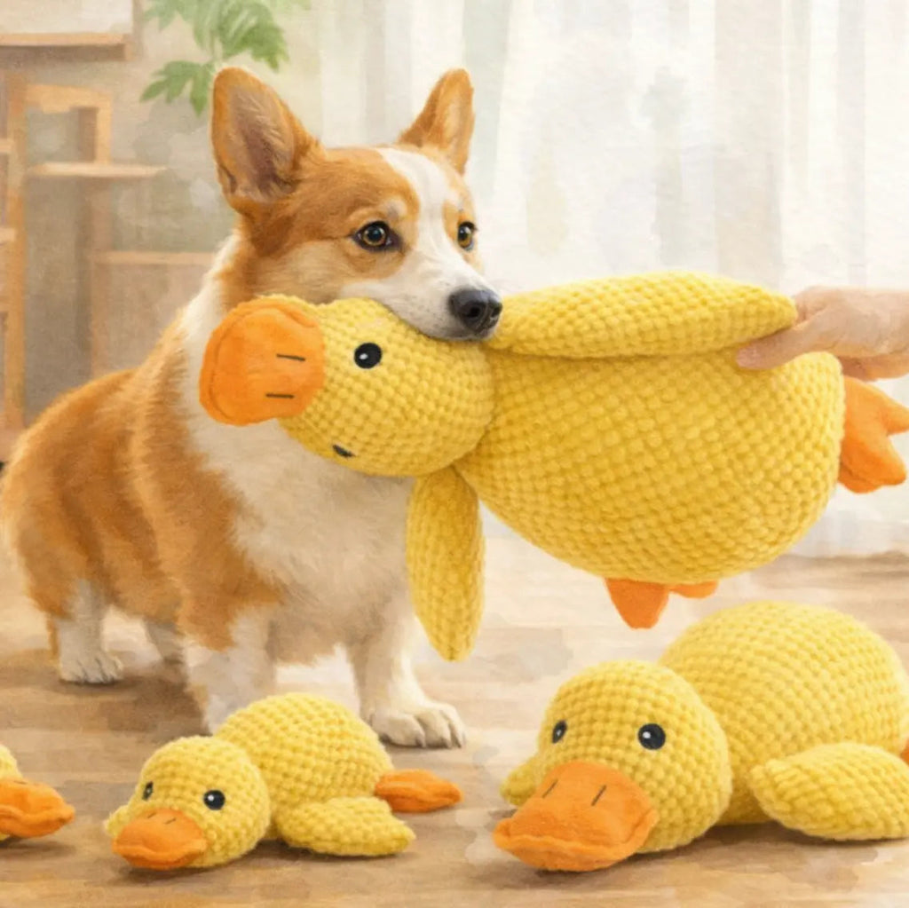 Plush Duck Dog Toy – Bite - Resistant Chew with Sound (Small) - The Dog Mom Collective